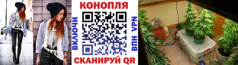 Виды наркотиков купить Гороховец Марихуана Кетамин ГАШ Alpha PVP