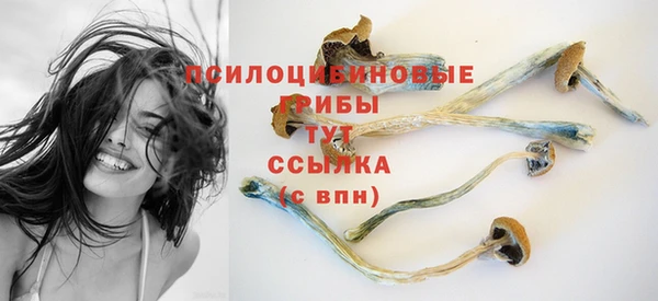 кокаин перу Богданович
