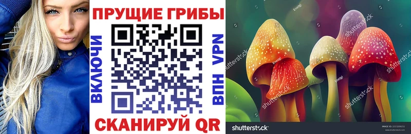 Галлюциногенные грибы мицелий  Гороховец 